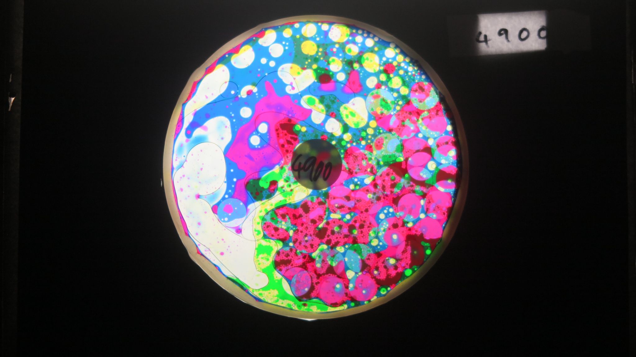 BV4900 bubble vision oil wheel